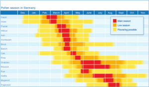 A guide to pollen allergies